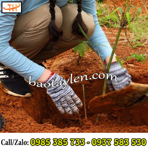 Găng tay len muối tiêu sử dụng đa dạng cho nhiều mục đích Găng tay len muối tiêu sử dụng đa dạng cho nhiều mục đích