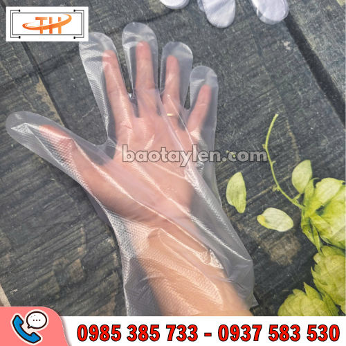 Găng tay nilon dùng 1 lần trong suốt Găng tay nilon dùng 1 lần trong suốt