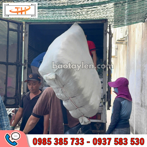 găng tay poly giá rẻ tại HCM găng tay poly giá rẻ tại HCM