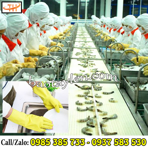 Găng tay cao su Hướng Dương đáp ứng tốt mọi nhu cầu sử dụng từ gia đình đến sản xuất Găng tay cao su Hướng Dương đáp ứng tốt mọi nhu cầu sử dụng từ gia đình đến sản xuất