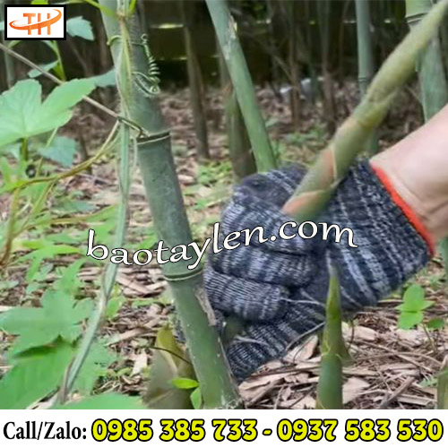Găng tay bảo hộ len muối tiêu được dùng phổ biến hằng ngày Găng tay bảo hộ len muối tiêu được dùng phổ biến hằng ngày