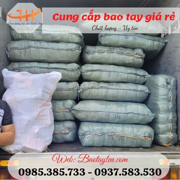 >>Hình ảnh giao hơn 13000 đôi bao tay muối tiêu đi Bình Tân. >>Hình ảnh giao hơn 13000 đôi bao tay muối tiêu đi Bình Tân.