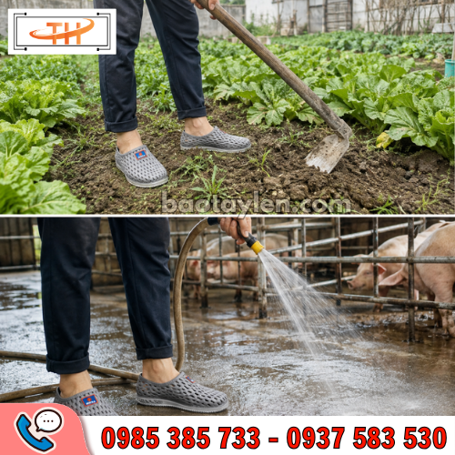 Giày nhựa bít mũi tổ ong phù hợp sử dụng hằng ngày Giày nhựa bít mũi tổ ong phù hợp sử dụng hằng ngày