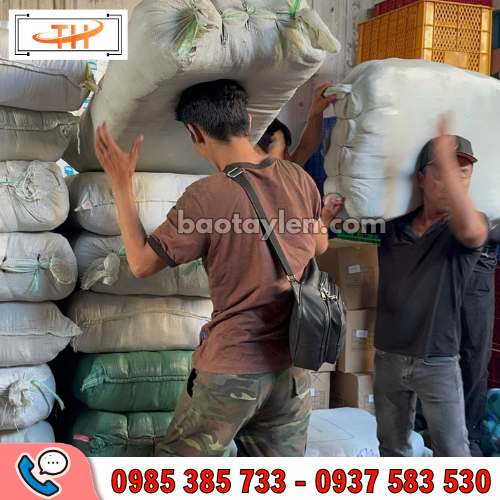 găng tay poly giá rẻ tại HCM găng tay poly giá rẻ tại HCM