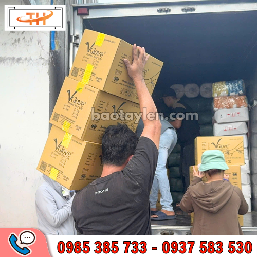 kho hàng găng tay y tế luôn có sẵn kho hàng găng tay y tế luôn có sẵn