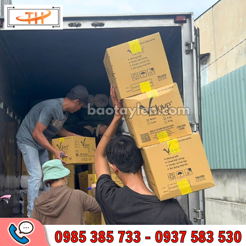 kho hàng găng tay y tế luôn có sẵn kho hàng găng tay y tế luôn có sẵn