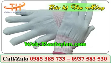 Cửa hàng bán sỉ bao tay vải thun giá rẻ
