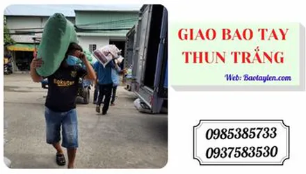 Giao 2000 đôi bao tay thun trắng giá rẻ đến Bình Dương