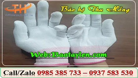 Đơn vị chuyên sỉ bao tay thun mỏng hàng đẹp giá rẻ