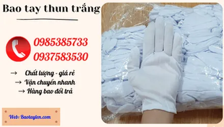 Giá bán bao tay thun trắng tại xưởng sản xuất