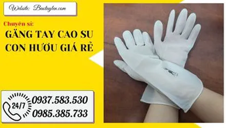Địa chỉ bán găng tay cao su con hươu giá sỉ giá rẻ