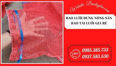 Mua bao lưới đựng nông sản giá rẻ tại HCM