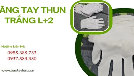 Găng tay vải thun trắng l+2 rẻ giá tại xưởng HCM