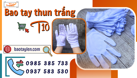 Bao tay thun trắng T10 có tốt không? Đặc điểm và ứng dụng