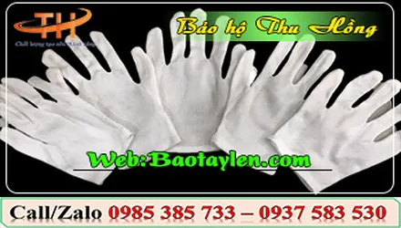 Chuyên sỉ găng tay vải Pet chuyên dụng giá rẻ