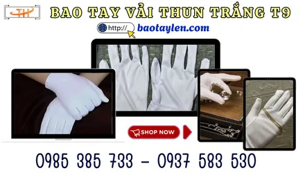 Mua sỉ bao tay vải thun trắng T9 ở đâu rẻ? Liên hệ ngay Thu Hồng
