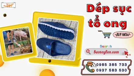 Bán sỉ dép sục tổ ong miền Nam