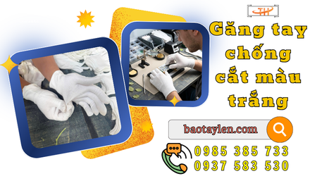 Nhà cung cấp găng tay bảo hộ chống cắt màu trắng