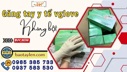 Liên hệ mua sỉ găng tay y tế Vglove tại HCM