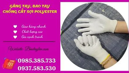 Nhà cung cấp bao tay bảo hộ chống cắt giá sỉ rẻ