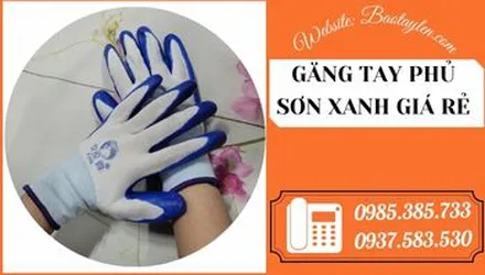 Tìm nơi mua găng tay phủ sơn xanh giá rẻ