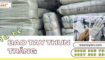 Công dụng của bao tay thun trắng giá bán sỉ rẻ tại Thu Hồng