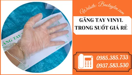 Găng tay cao su Vinyl trong suốt không bột giá rẻ