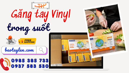 Chuyên phân phối găng tay vinyl trong suốt số lượng lớn tại HCM