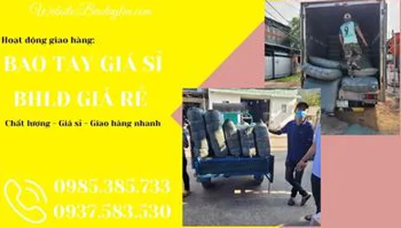 Bao tay giá rẻ - Thu Hồng giao hơn 11.000 đôi bao tay đi Bình Tân