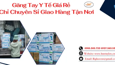 Đơn 15 thùng găng tay y tế cho khách Bình Phước