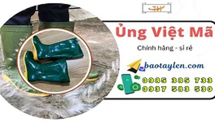 Ủng Việt Mã xanh rêu giá buôn rẻ