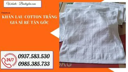 Khăn lau trắng cotton giá rẻ bán ở đâu