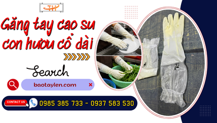 Kho sỉ găng tay cao su con hươu cổ dài hàng có sẵn