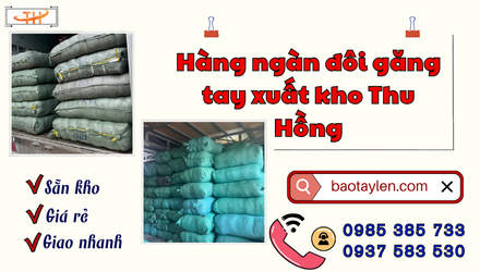 Hàng ngàn đôi găng tay bảo hộ được giao từ kho Thu Hồng