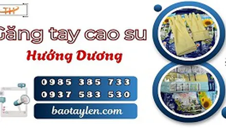 Nhập sỉ găng tay cao su hướng dương giá tốt tại HCM