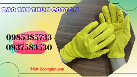 Chuyên sỉ bao tay thun cotton giá rẻ