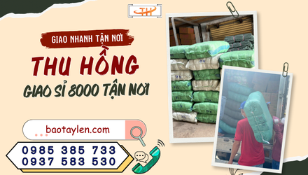 8.000 đôi găng tay bảo hộ rời kho Thu Hồng