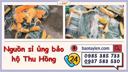 Không qua trung gian? khám phá nguồn sỉ ủng bảo hộ Thu Hồng