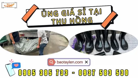 Kho Thu Hồng xuất hàng ủng bảo hộ số lượng lớn đi sỉ