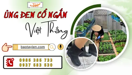 Ủng đen cổ ngắn hàng sẵn kho giao tận nơi