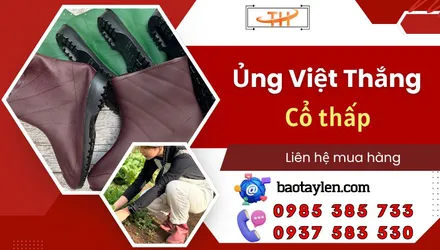 Ủng Việt Thắng cổ thấp chất lượng giá sỉ rẻ