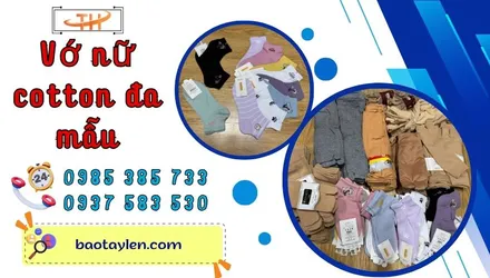 Bán sỉ vớ nữ cotton đa mẫu cực rẻ