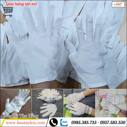 Bán sỉ bao tay thun vải trắng giá rẻ tại TpHCM