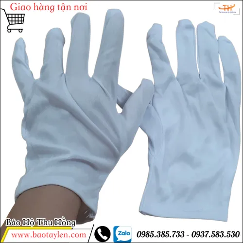 Bao tay vải thun T10