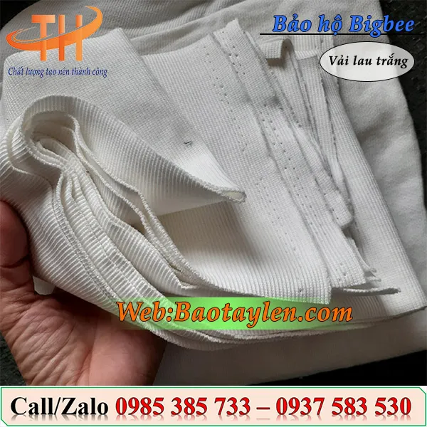 Giẻ lau trắng nhỏ