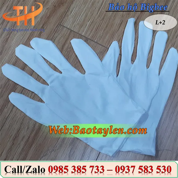 Bao tay vải thun L+4