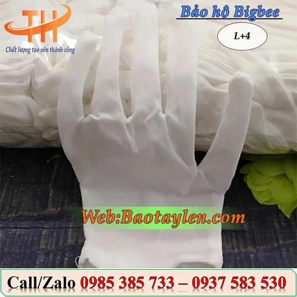 Bao tay vải thun L+4