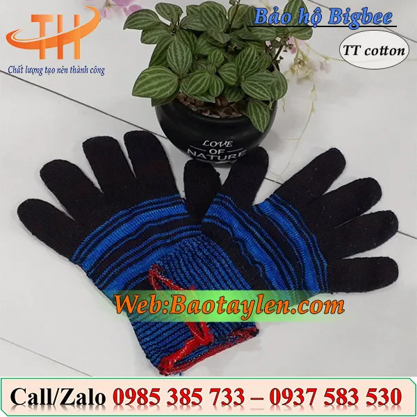 Bao tay len thời trang cotton