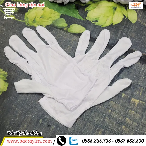 Bao tay vải thun T10