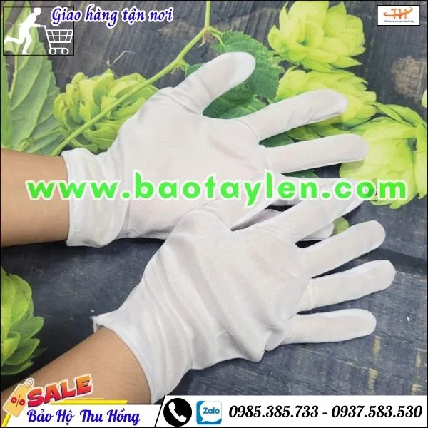 Bao tay vải thun T8
